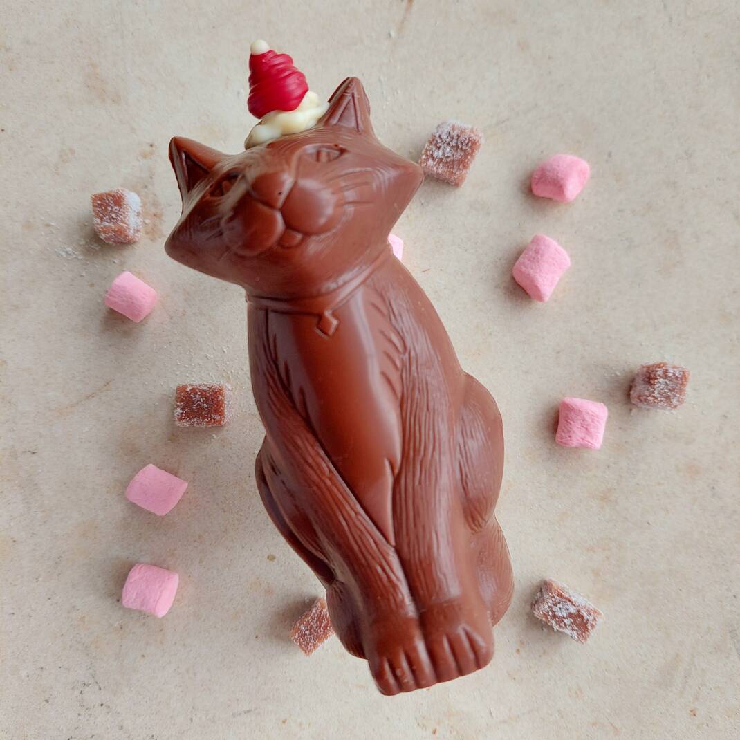 Chocolate Cat