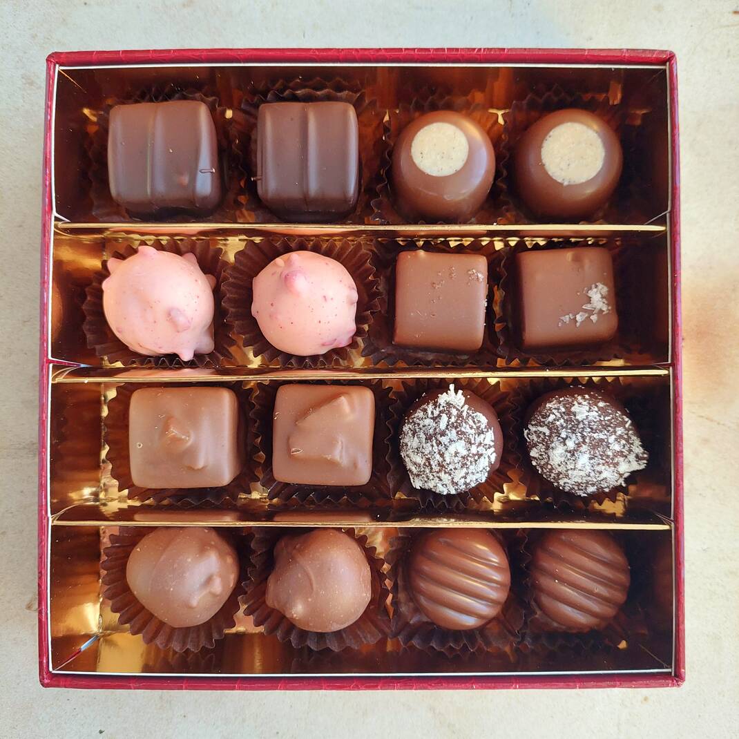 16 Robineau Chocolate Selection